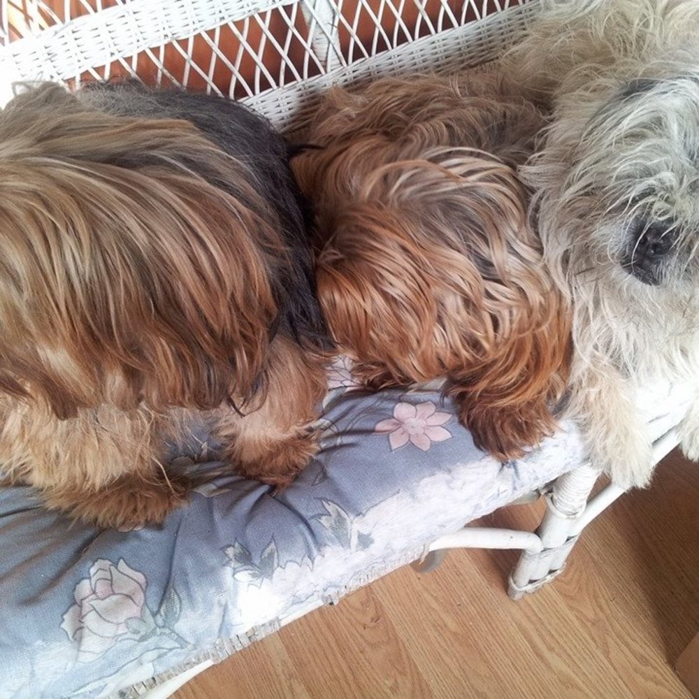 Meet your Posher, Davemary